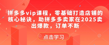 拼多多vip课程,零基础打造店铺的核心秘诀,助拼多多卖家在2025卖出爆款,订单不断-网创智库