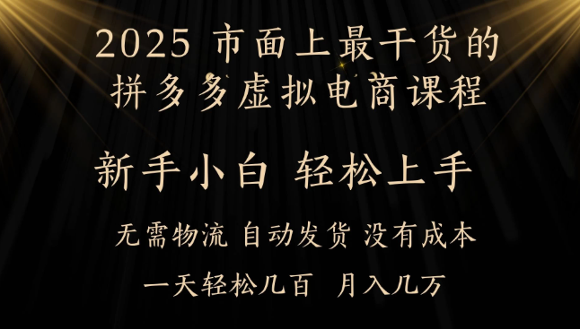 25年最干货的拼多多虚拟电商课程，小白轻松上手，月入过万只是门槛！虚拟电商，如皓月见青天！-网创智库