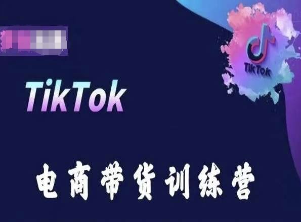 TikTok电商带货训练营，跟随时代潮流，跨境掘金-网创智库
