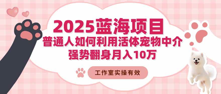 （16489期）2025蓝海项目：普通人如何利用活体宠物中介，强势翻身月入10万-网创智库