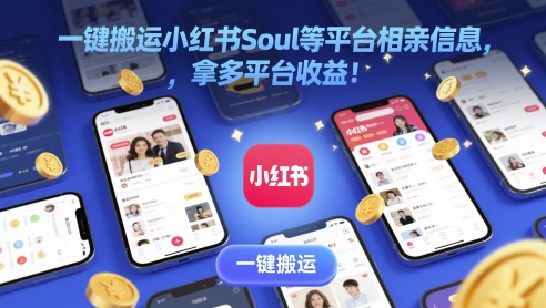 一键搬运小红书Soul等平台相亲信息，拿多平台收益!-网创智库
