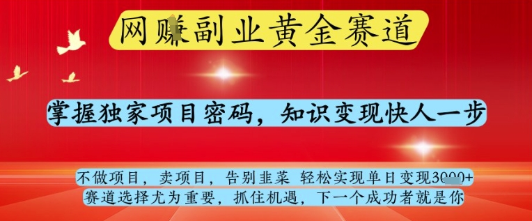 网创副业黄全赛道，掌握独家项目密码，知识变现快人一步，告别韭菜轻松实现单日变现1k+【揭秘】-网创智库