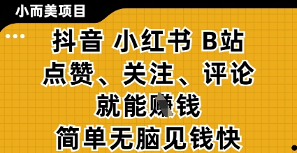 小而美的项目，抖音小红书B站视频点赞、关注、评论就能挣钱，简单无脑立见收益，妥妥的零撸项目【揭秘】-网创智库