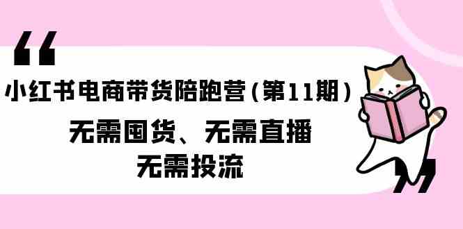 (9996期)小红书电商带货陪跑营(第11期)无需囤货、无需直播、无需投流(送往期10套)-网创智库