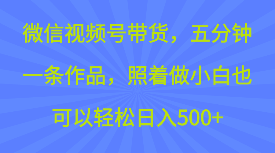 微信视频号带货,五分钟一条作品,照着做小白也可以轻松日入500+-网创智库