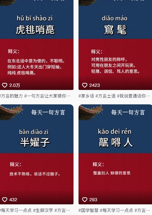 抖音最新涨粉玩法，图文方言暴力涨粉实操，126作品涨粉11W-网创智库