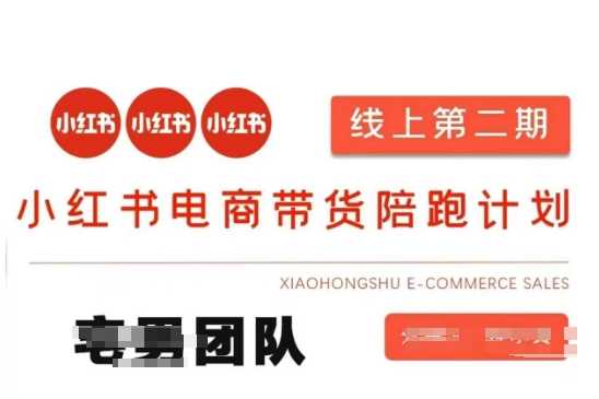 小红书电商带货课2期，月利润20个的小红书电商的有货源，无货源，虚拟产品，付费投流等整套玩法-网创智库