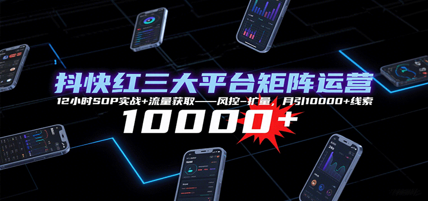 抖快红三大平台矩阵运营,12小时SOP实战+流量获取-风控-扩量,月引10000+线索-网创智库