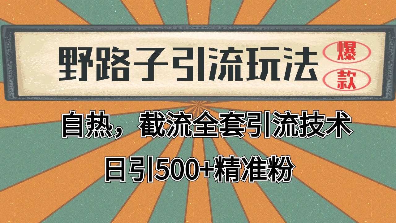 2024首发野路子引流玩法截流自热全平台打法，全自动引流【日引2000+精准客户】-网创智库