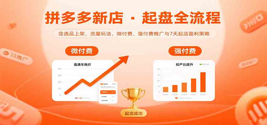 拼多多新店起盘全流程，含选品上架、流量玩法，微付费、强付费推广与7天起店盈利策略-网创智库