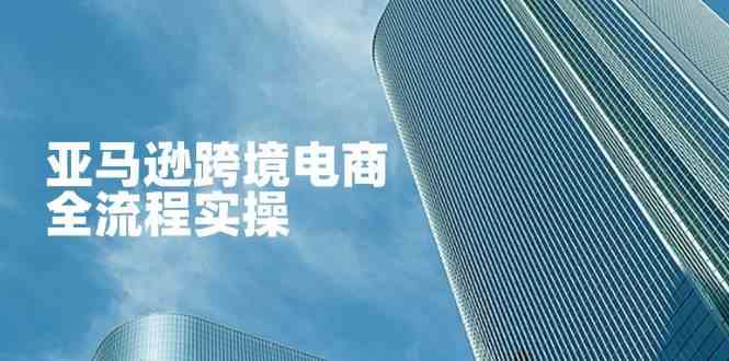 亚马逊跨境电商全流程实操，教你从零开始，掌握店铺运营与广告技巧-网创智库